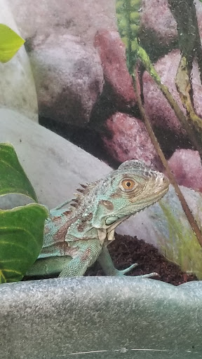 Pet Supply Store «Petco Animal Supplies», reviews and photos, 12444 NW 10th St #301, Yukon, OK 73099, USA