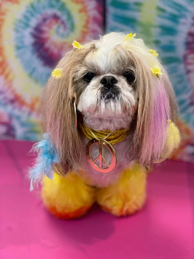 Pet Store «Canine Carousel», reviews and photos, 43135 Broadlands Center Plaza #129, Ashburn, VA 20148, USA