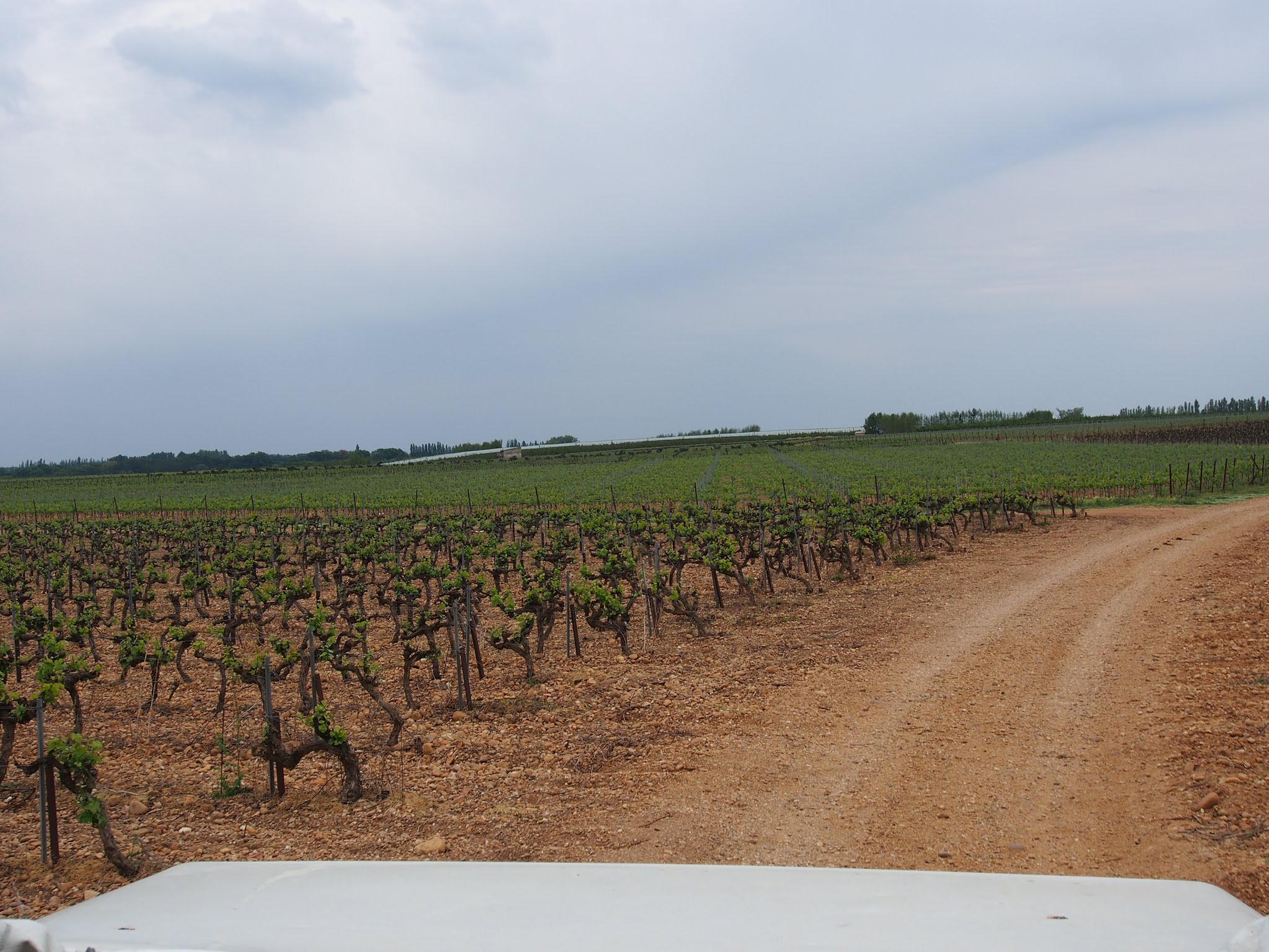 Photo n° 2 de l'avis de MICHEL. fait le 04/06/2019 à 19:45