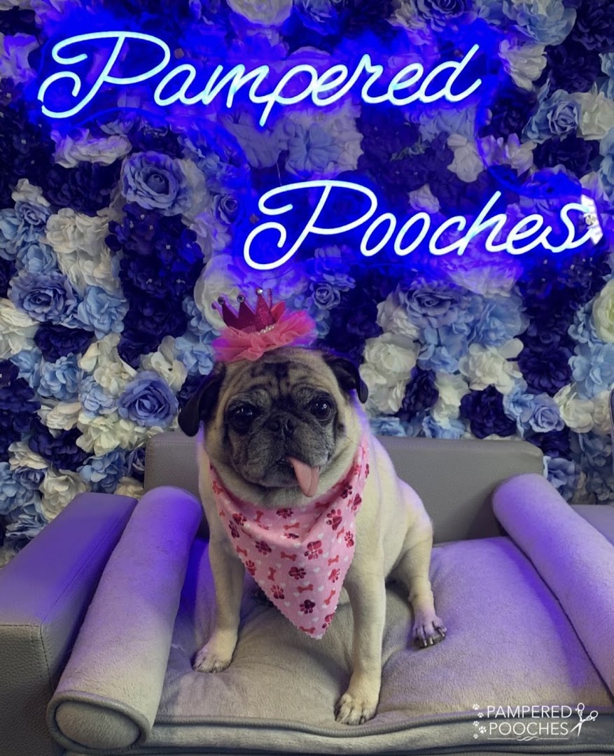Pampered Pooches LLC