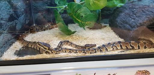 Pet Supply Store «Petco Animal Supplies», reviews and photos, 859 Kings Creek Dr, Tupelo, MS 38804, USA