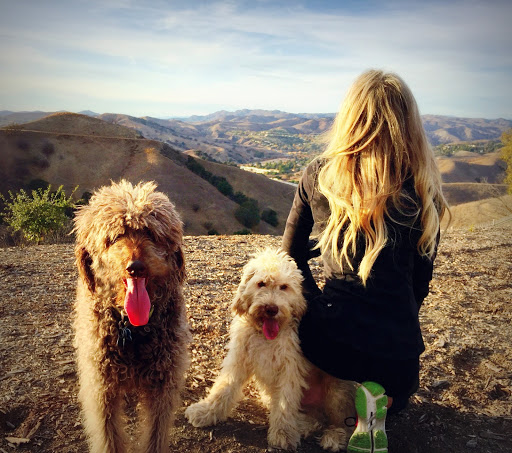 Calabasas Animal Clinic image