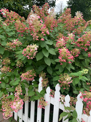 Park «Pioneer Park», reviews and photos, 515 2nd St N, Stillwater, MN 55082, USA