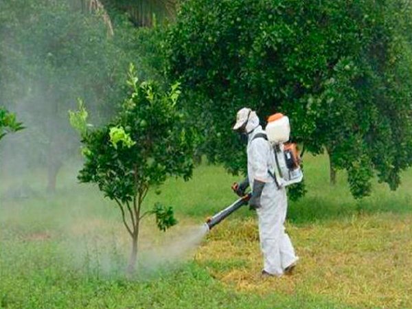 Opiniones de ABC Pest Control en Providencia - Empresa de fumigación y control de plagas
