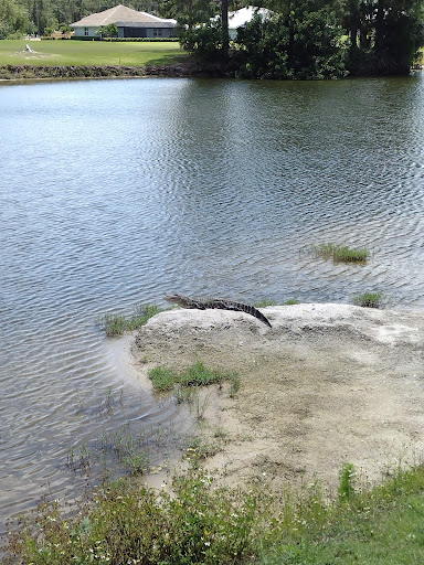 Golf Club «Meadowood Golf and Tennis Club», reviews and photos, 9425 Meadowood Dr, Fort Pierce, FL 34951, USA