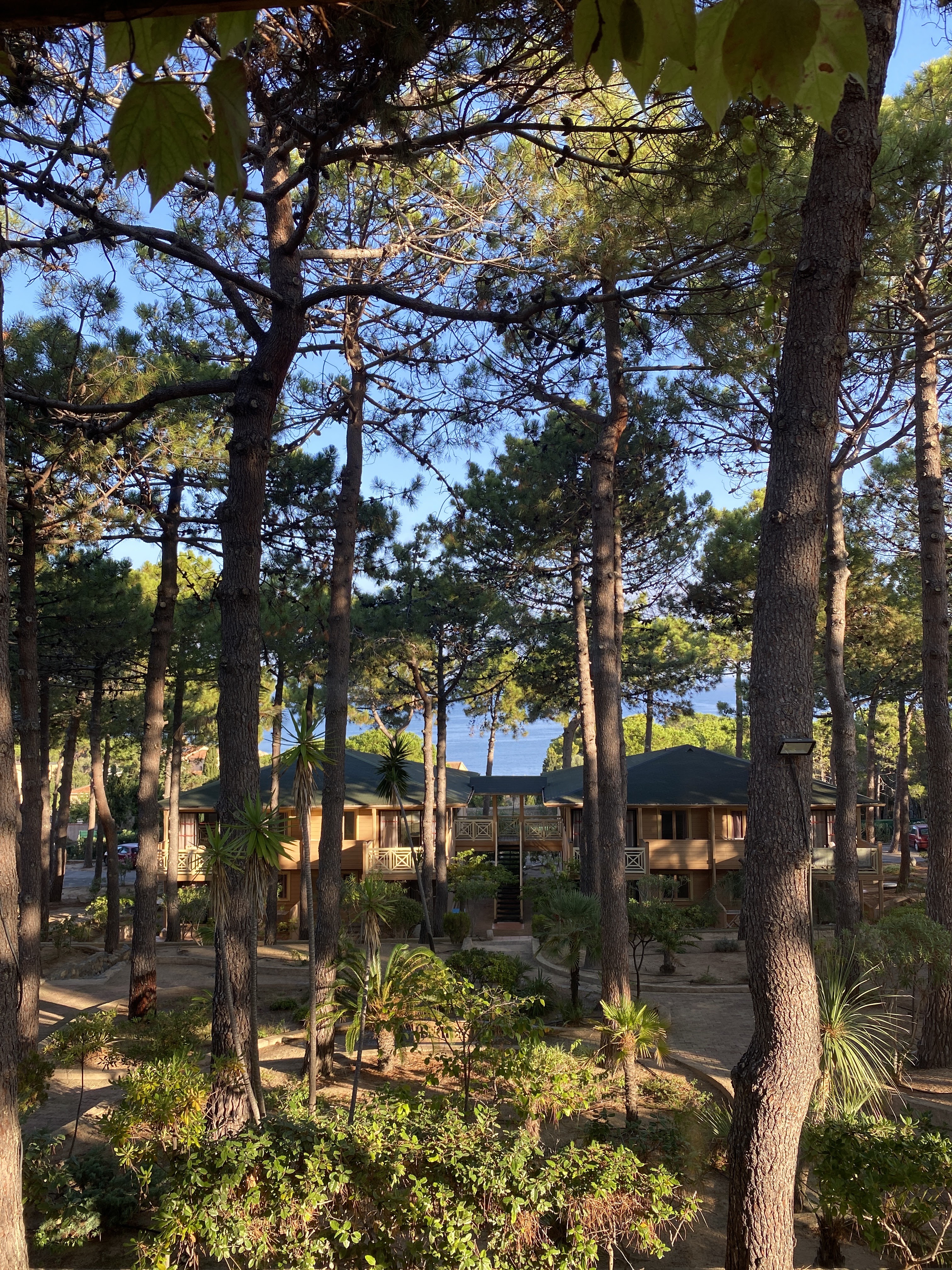 Photo n° 1 de l'avis de Miguel.a fait le 11/10/2023 à 07:10