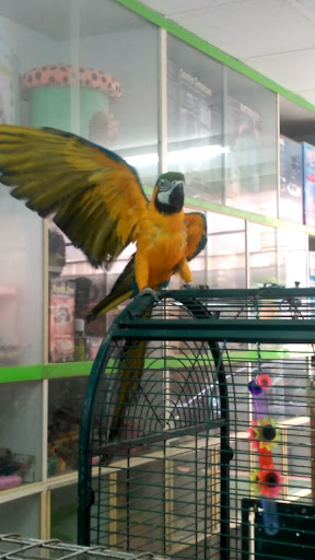 Atlantic Acuarium - Gijón