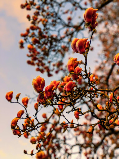 Golf Course «Dunwoodie Golf Course», reviews and photos, 1 Wasylenko Ln, Yonkers, NY 10701, USA