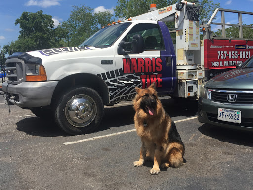 Auto Repair Shop «Tune Up Plus», reviews and photos, 111 Gainsborough Square E c, Chesapeake, VA 23320, USA