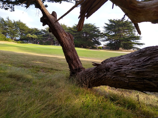 Golf Course «Sea Ranch Golf Links», reviews and photos, 42000 CA-1, Sea Ranch, CA 95497, USA