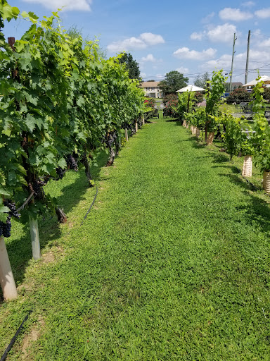 Winery «Heritage Vineyards», reviews and photos, 480 Mullica Hill Rd, Mullica Hill, NJ 08062, USA