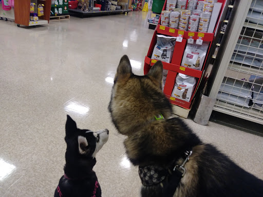 Pet Supply Store «PetSmart», reviews and photos, 1836 Joe Battle Blvd, El Paso, TX 79936, USA