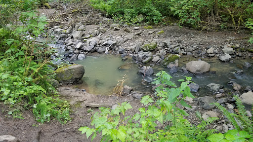 Park «Macleay Park», reviews and photos, NW 29th Ave & Upshur St, Portland, OR 97210, USA