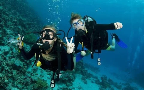 Bali Diving image