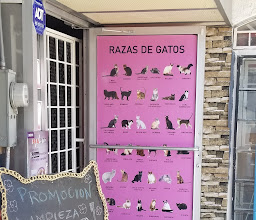 Cafe Veneto - Reposteria Y Cafe photo