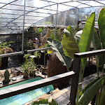 Photo n°11 de l'avis de Francesca.e fait le 18/04/2022 à 20:25 sur le  Wunderkammer à Castel Gandolfo