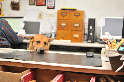 Pet Supply Store «Anderson Township Family Pet Center», reviews and photos, 6666 Clough Pike, Cincinnati, OH 45244, USA