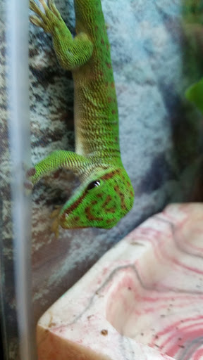 Pet Supply Store «Petco Animal Supplies», reviews and photos, 30697 US Hwy 19 N, Palm Harbor, FL 34684, USA