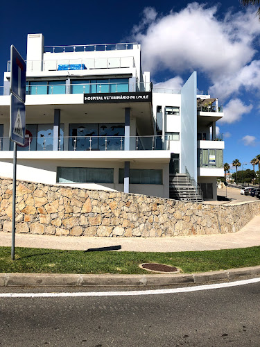 Hospital Veterinário de Loulé - Loulé