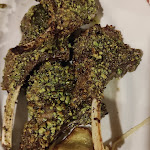 Photo n°4 de l'avis de Oleksiy.o fait le 02/01/2022 à 20:17 sur le  Ristorante Monte San Giuliano à Erice