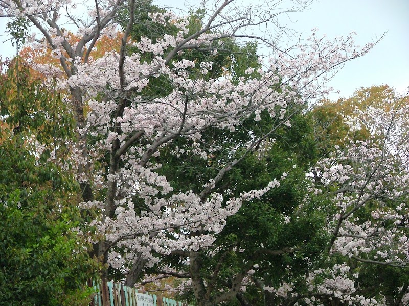 大宝東公園