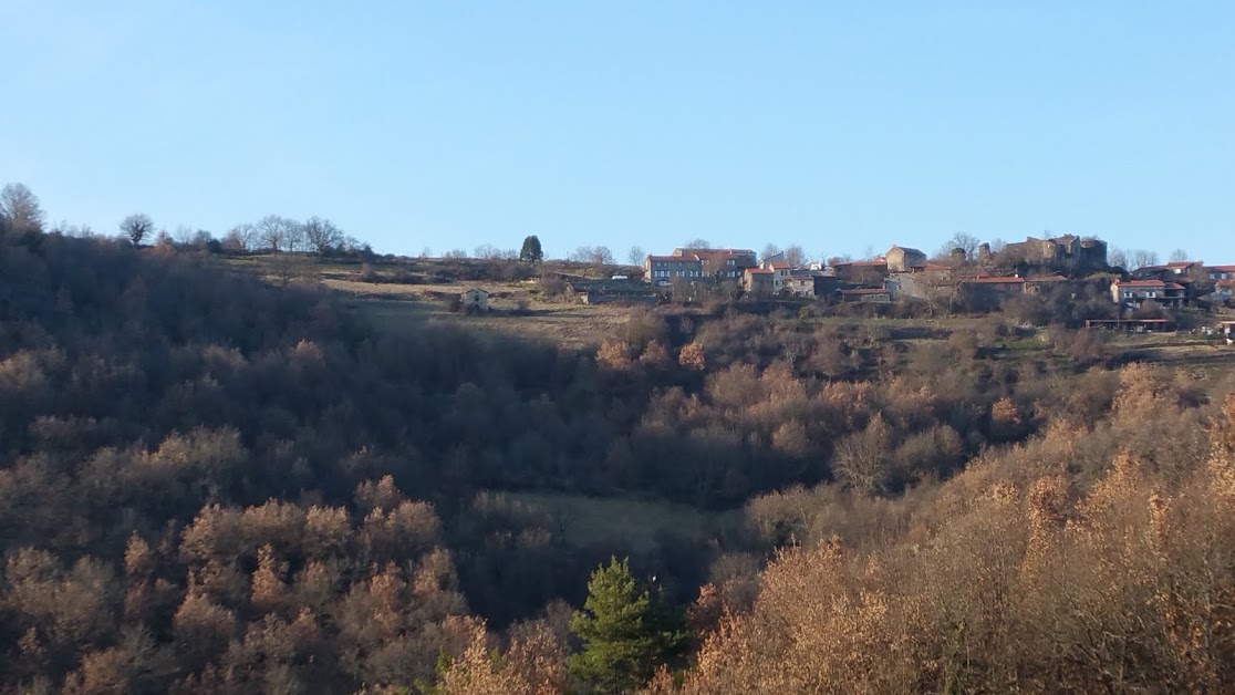 Apartment Auberge de Chalet à Massiac (Cantal 15)