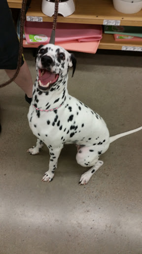 Pet Supply Store «Petco Animal Supplies», reviews and photos, 2807 Wilma Rudolph Blvd, Clarksville, TN 37040, USA