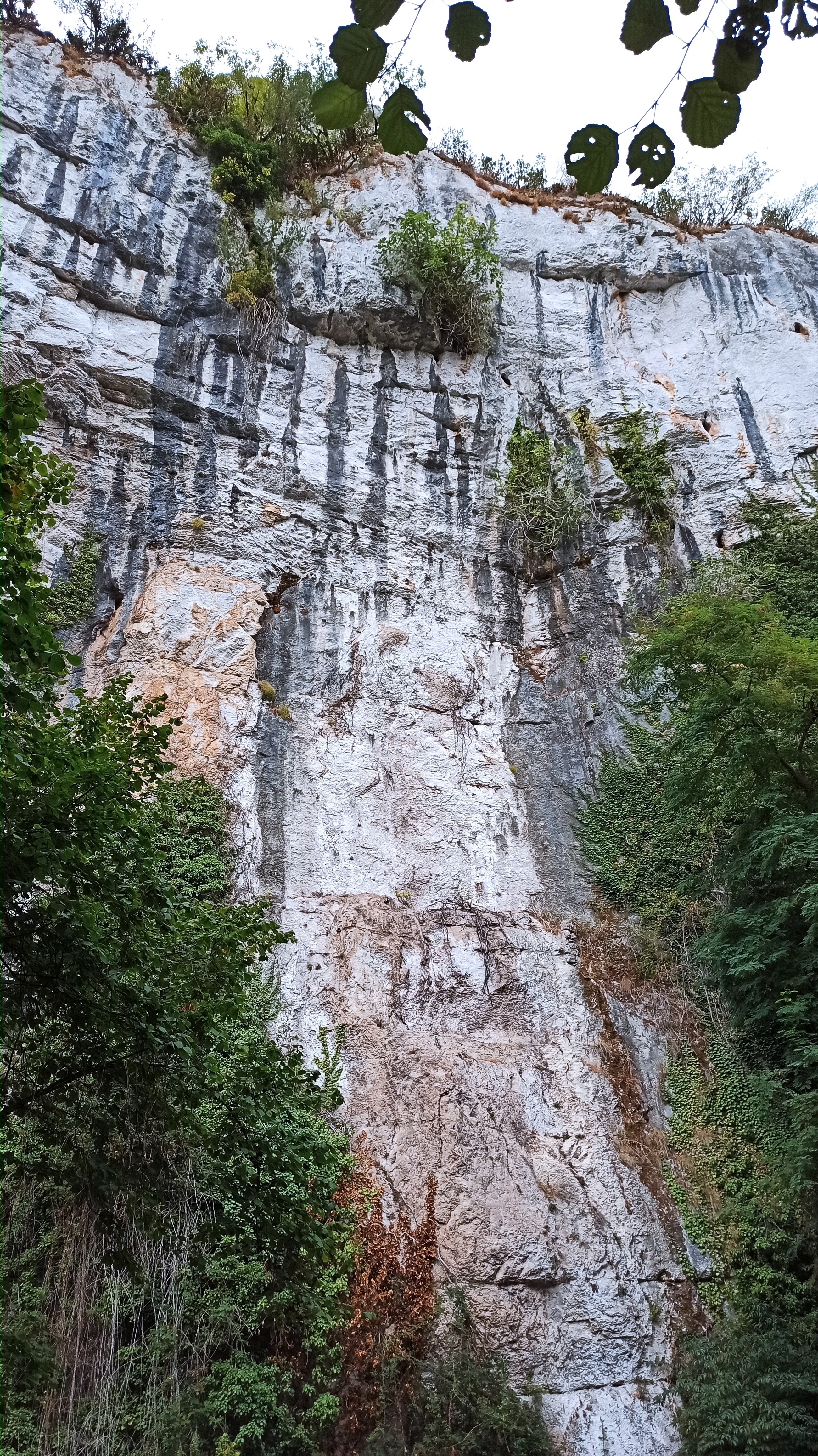 Photo n° 2 de l'avis de sabine.n fait le 27/08/2022 à 21:29