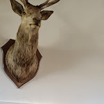 Photo n°10 de l'avis de Massimo.n fait le 11/08/2021 à 12:14 sur le  Trattoria Alla Pineta à Cividale del Friuli