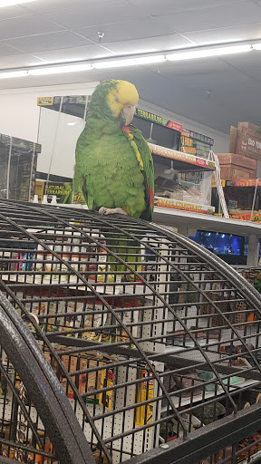 Pet Store «B & B Pet Stop, Inc.», reviews and photos, 5035 Cottage Hill Rd, Mobile, AL 36609, USA