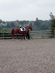 Windmill Farm Dressage & Livery Centre