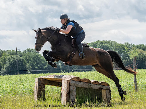 A CHEVAL 54 à Bauzemont