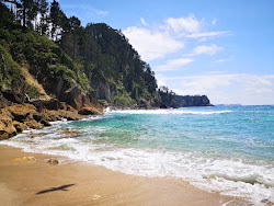 Pokohino Beach'in fotoğrafı doğal alan içinde bulunmaktadır