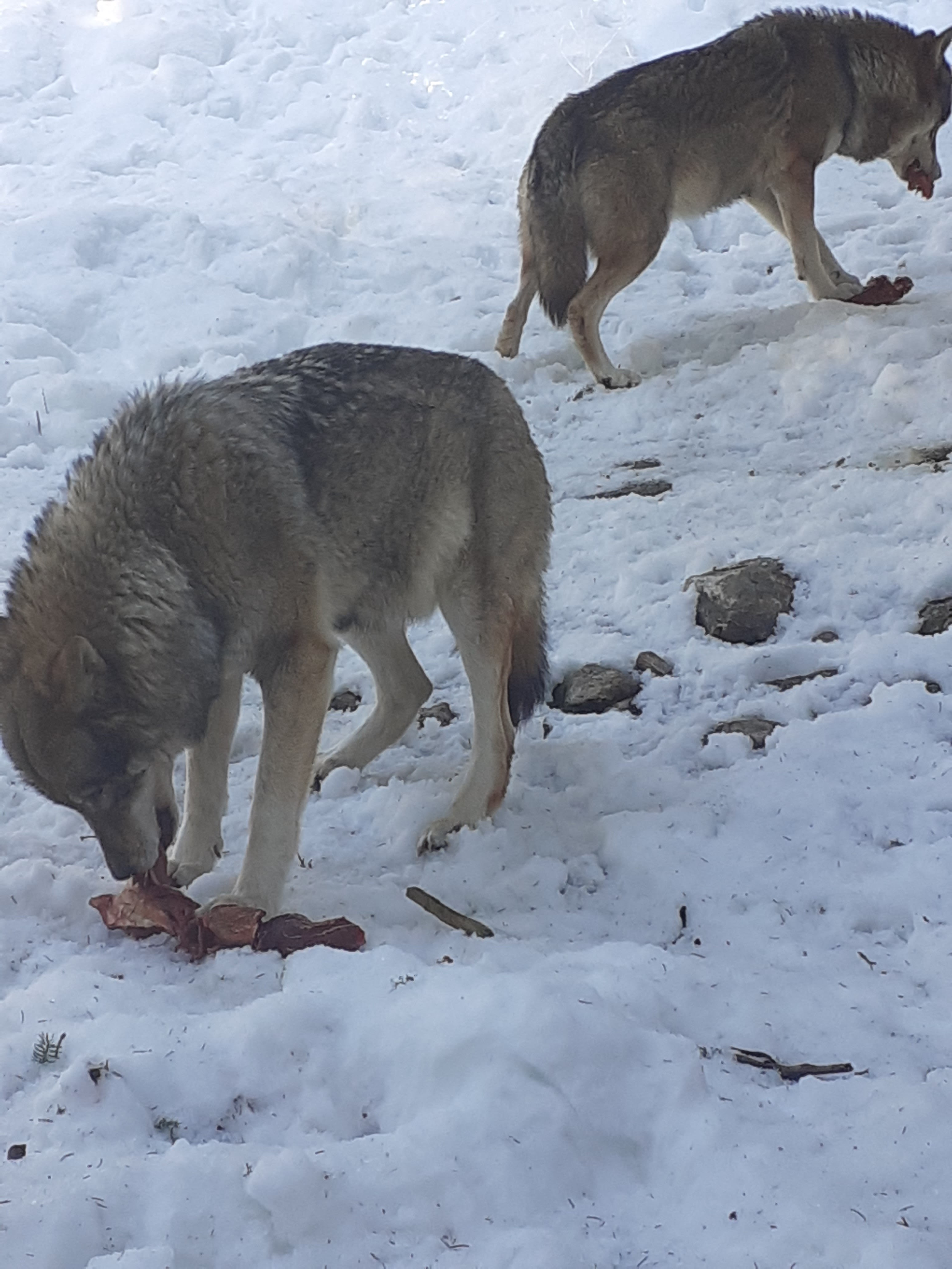 Photo n° 2 de l'avis de PROUPAIN.a fait le 07/03/2020 à 17:06