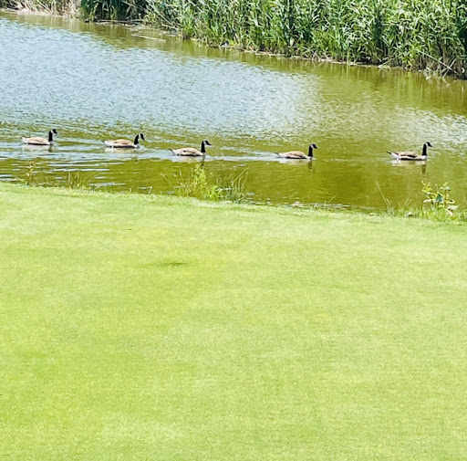 Golf Course «Harbor Links Golf Course», reviews and photos, 1 Fairway Dr, Port Washington, NY 11050, USA