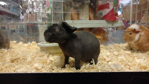 Shopping Mall «Chester Shopping Mall», reviews and photos, 23 W Main St, Chester, NJ 07930, USA