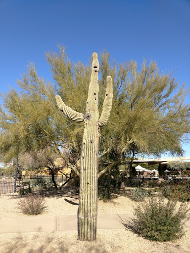 Community Center «Aviano Community Center», reviews and photos, 22500 N Aviano Way, Phoenix, AZ 85050, USA