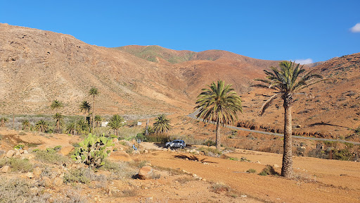 Vega de Río Palmas