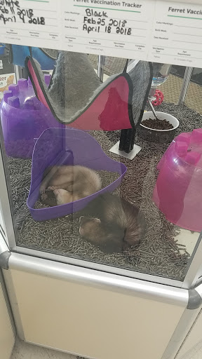 Pet Supply Store «Pet Supplies Plus», reviews and photos, 425 Water St, Chardon, OH 44024, USA