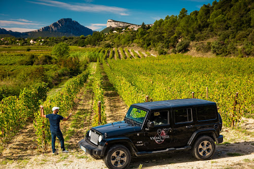 Agence de voyages vigno'vins Saint-Laurent-d'Aigouze