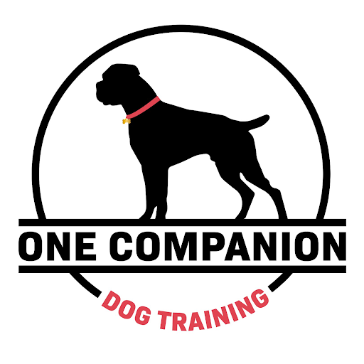 One Companion Dog Training image 10