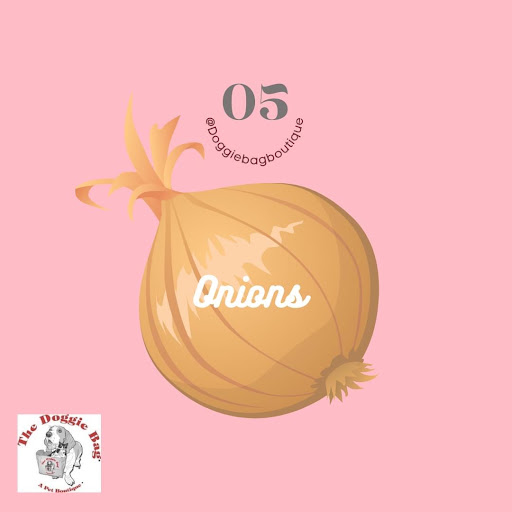 Pet Supply Store «The Doggie Bag A Pet Boutique», reviews and photos, 1745 E Edgewood Dr, Lakeland, FL 33803, USA