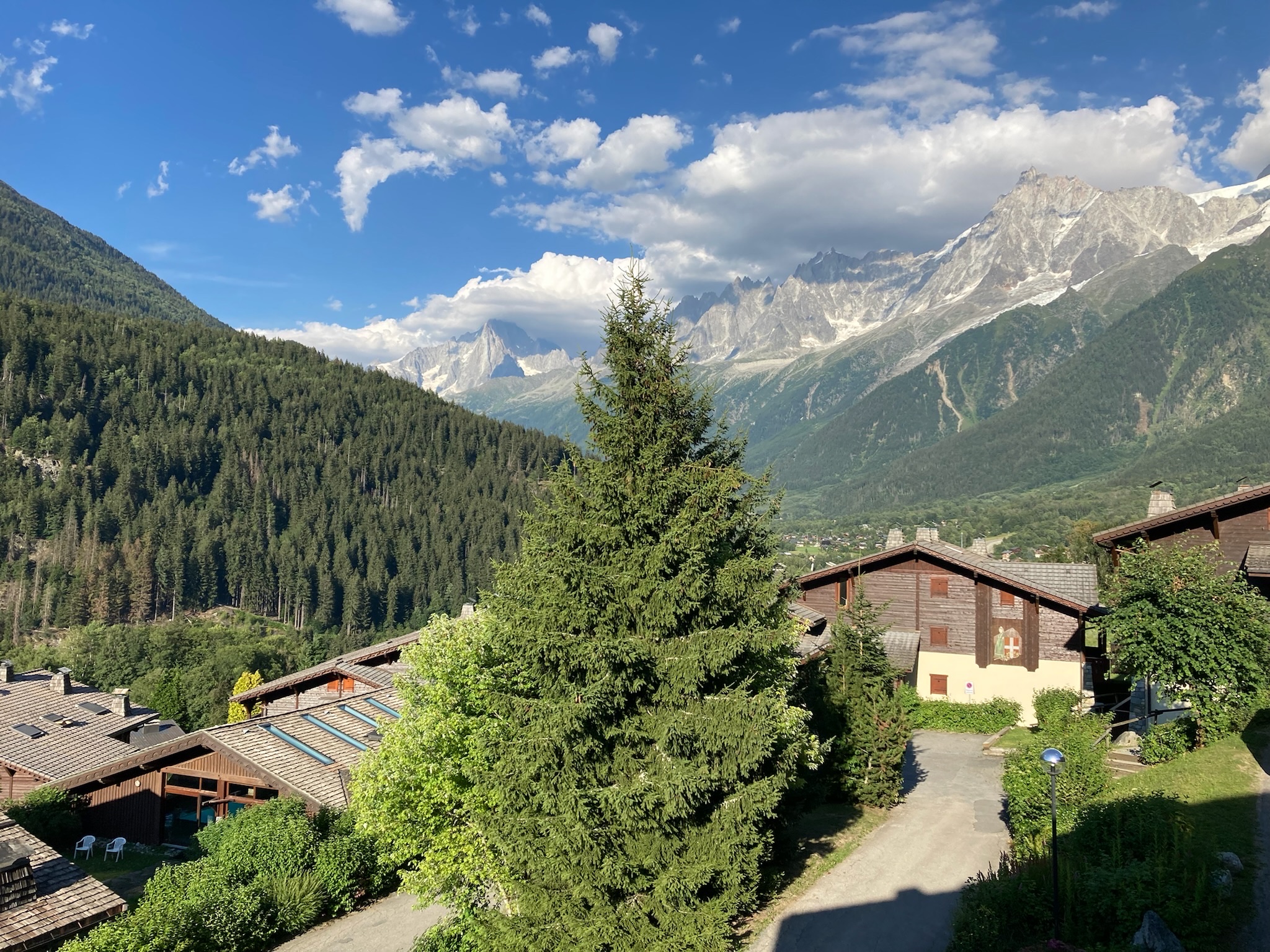 Photo n° 1 de l'avis de Nicola.i fait le 31/07/2022 à 16:42