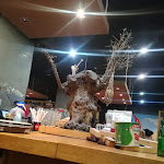 Photo n°1 de l'avis de Antonio.a fait le 28/01/2020 à 06:38 sur le  Fratelli La Bufala à Rome