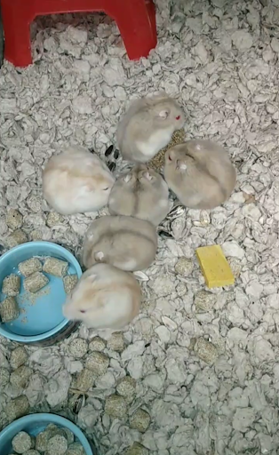 Pet Supply Store «Petco Animal Supplies», reviews and photos, 1231 Crossing Meadows Dr, Onalaska, WI 54650, USA