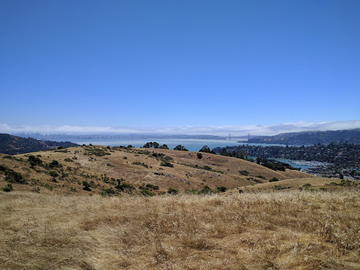 Nature Preserve «Tiburon Uplands Preserve», reviews and photos, 3079 Paradise Dr, Belvedere Tiburon, CA 94920, USA