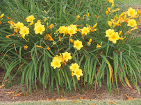 Bedwell's Home Fashions LLC - Photo 5 - Car repair in Tuscaloosa, AL, Tuscaloosa