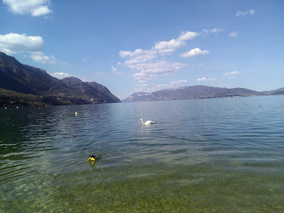 Avenue du Lac à Le Bourget-du-Lac