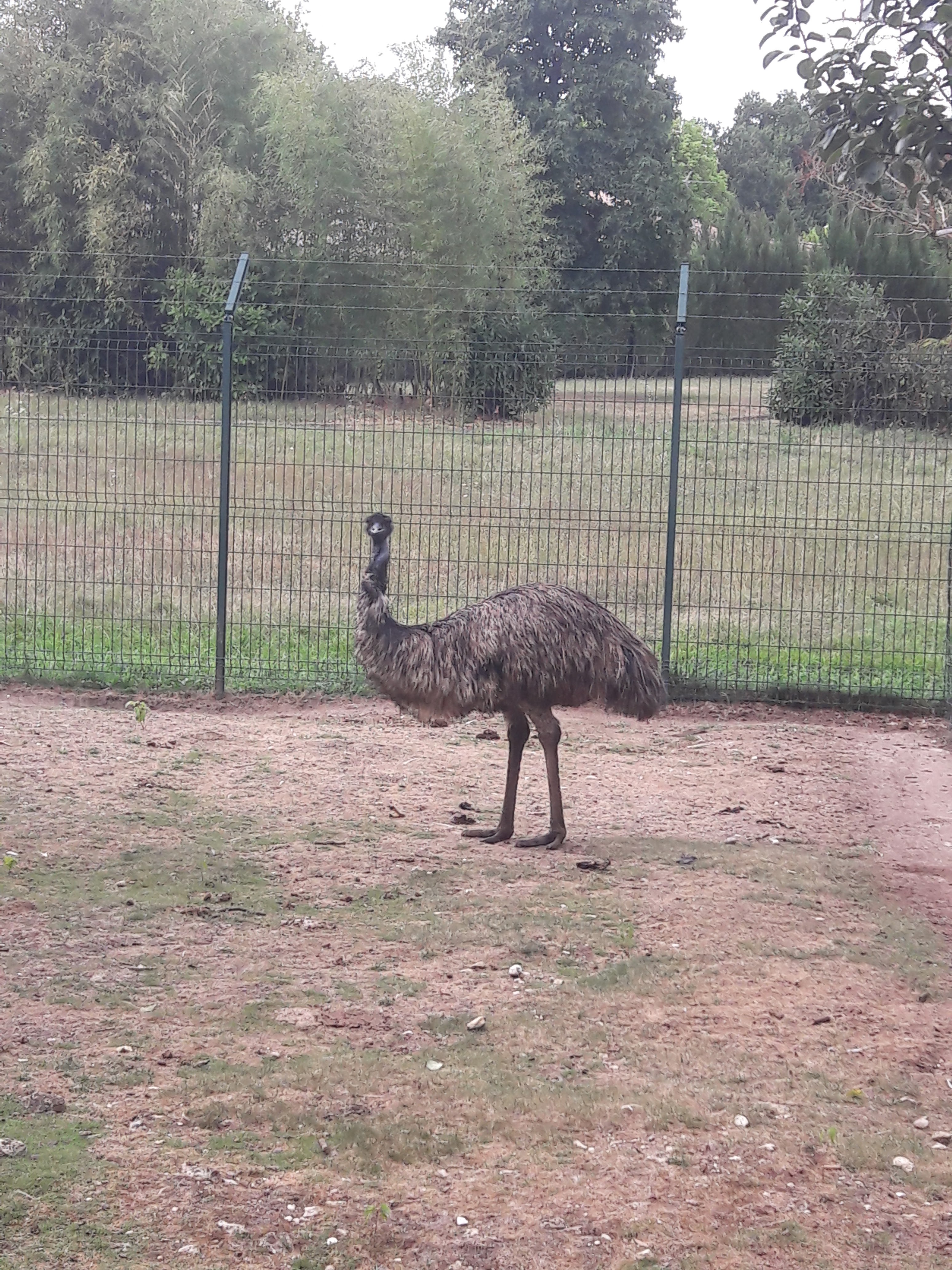 Photo n° 2 de l'avis de Alain.a fait le 09/08/2019 à 15:44