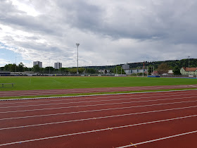 Rugby Club Winterthur